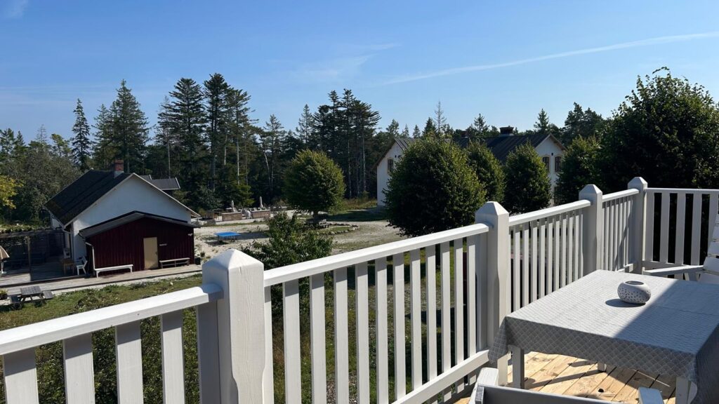 Bild från Blåklint