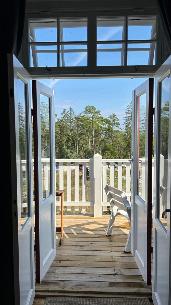 Bild från Blåklint